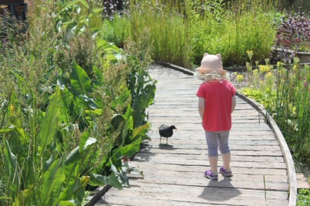 https://www.mummytravels.com/2015/08/02/family-day-out-london-wetland-centre-barnes/