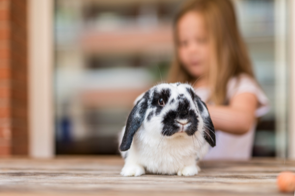 Best pets for deals kids