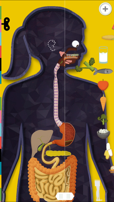 4 The Human Body