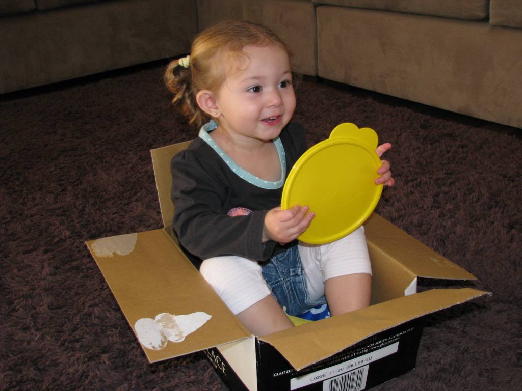 15 Cardboard Box
