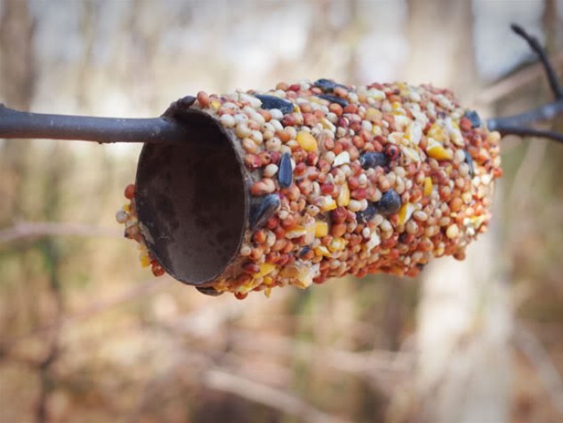 https://www.theresourcefulmama.com/toilet-paper-roll-bird-feeders/