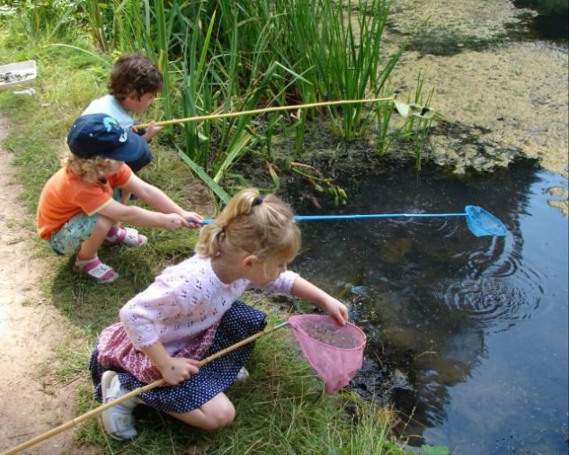 https://www.familiesonline.co.uk/images/default-source/local/north-surrey/in-the-know-images/pond-dipping.jpg?sfvrsn=451ec89e_0