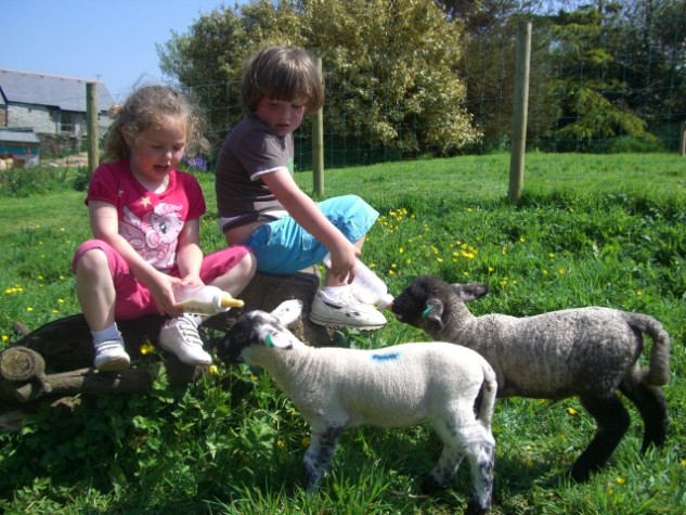 http://www.poleanfarm.co.uk/wp-content/uploads/2013/09/CIMG2702.jpg