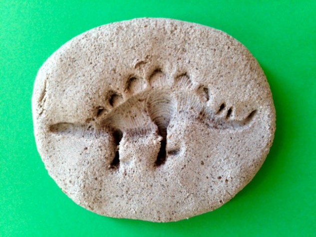 http://redkitedays.co.uk/wp-content/uploads/2016/04/dinosaur-fossil.jpg